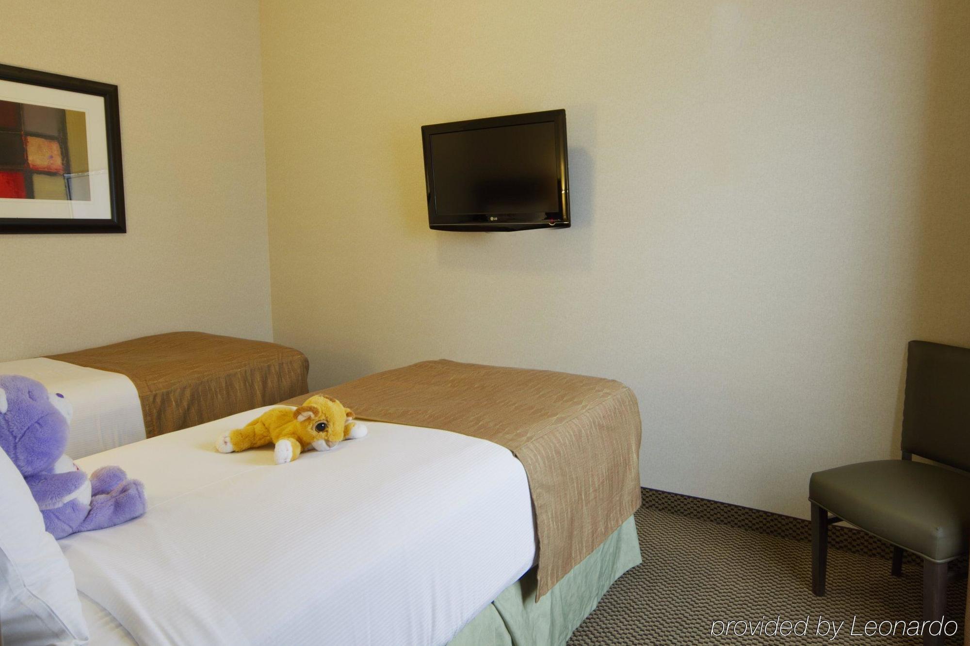 Best Western Wainwright Inn & Suites Pokój zdjęcie